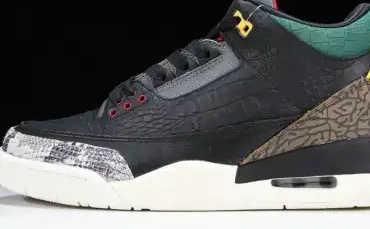CV3583-003 “ANIMAL AIR 3 JORDAN 2.0” SE INSTINCT 0623